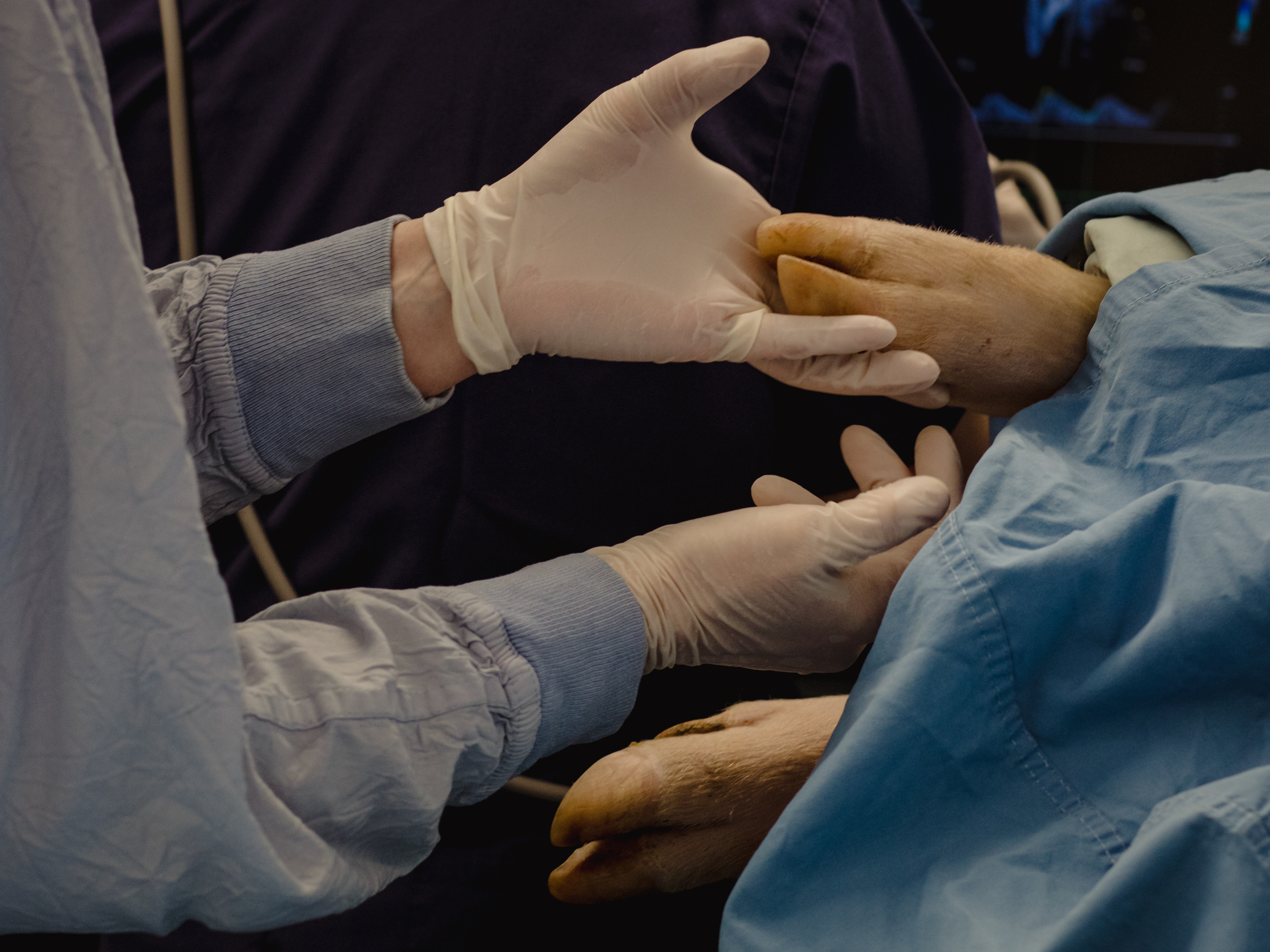 caption: Surgeon Christoph Haller and his research team from Toronto's Hospital for Sick Children are working on technology that could someday result in an artificial womb to help extremely premature babies.