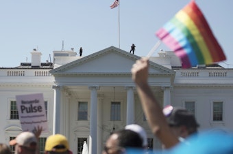 caption: The Biden administration says the government will protect gay and transgender people against sex discrimination in health care. In this 2017 photo, Equality March for Unity and Pride participants march past the White House in Washington.