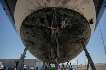 caption: A picture taken on May 31 shows the rudder of a vessel damaged by killer whales (<em>Orcinus orca</em>) while sailing in the Strait of Gibraltar and taken for repairs at the Pecci Shipyards in Barbate, near Cadiz, southern Spain.