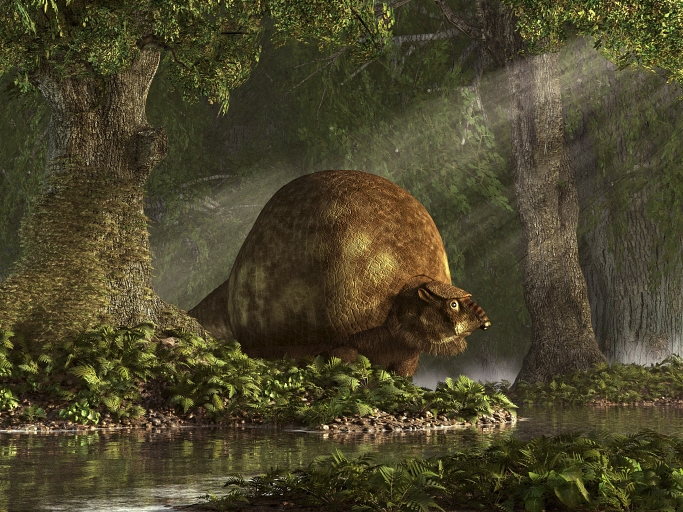 caption: Glyptodonts were giant, armadillo-like shelled mammals that went extinct about 10,000 years ago. A study reveals that cut marks on a glyptodont fossil in South America could have been made by humans a little over 20,000 years ago.