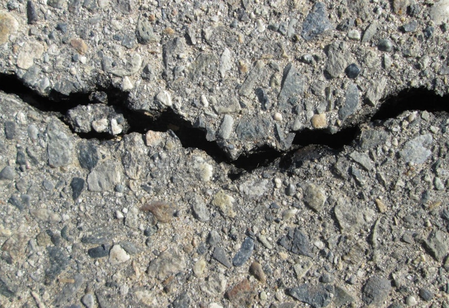 caption: Cracked earth post-quake