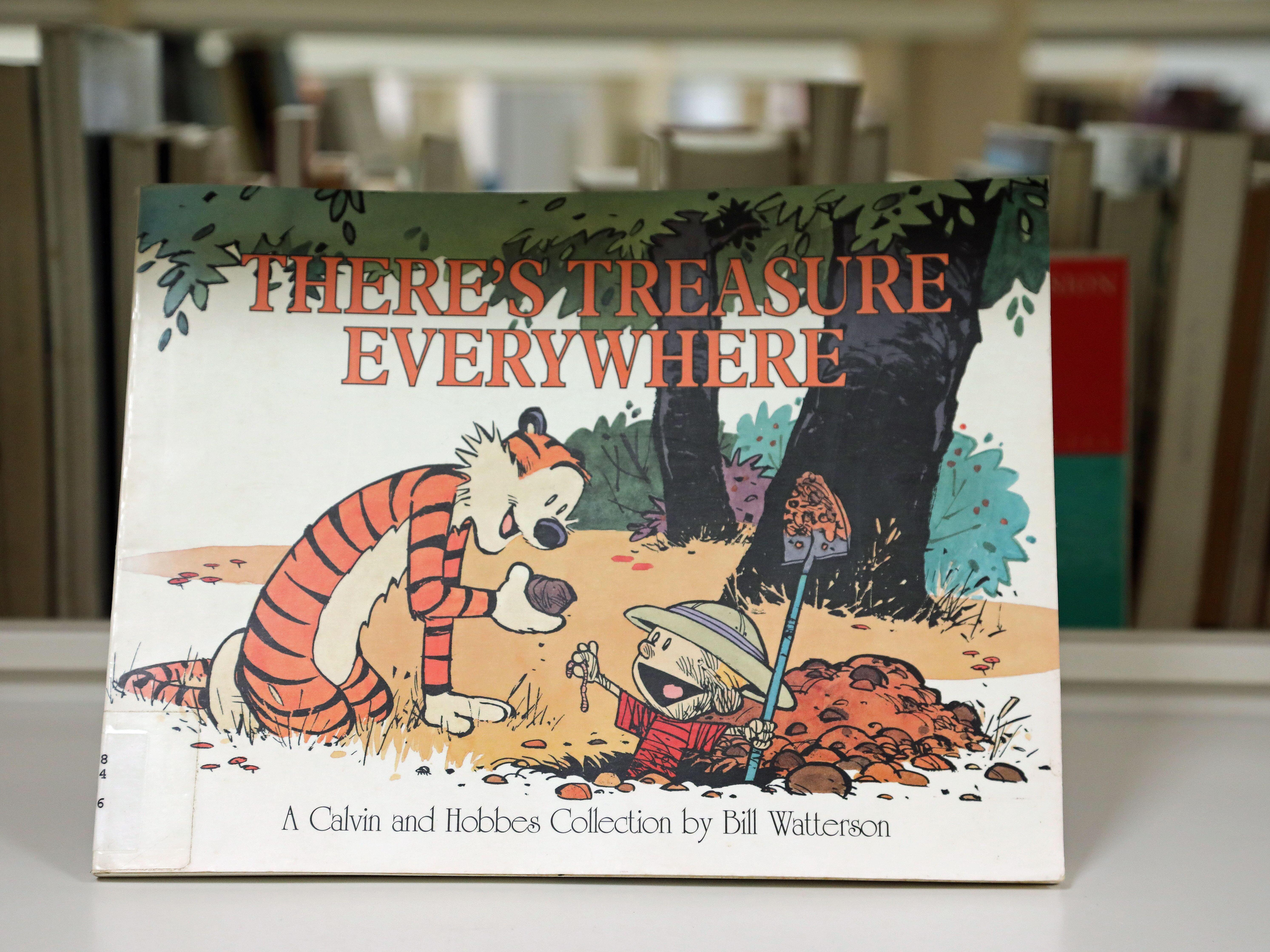 caption: "There's Treasure Everywhere," the tenth collection of Calvin and Hobbes comic strips, published in March 1996.