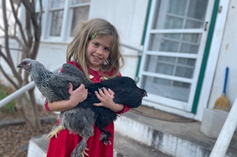 caption: The author's daughter, Rosy, with two of the family chickens. Among Rosy's discoveries: "When the sun goes down, they all go up into the coop and go to bed. Nobody has to tell them it's bedtime."
