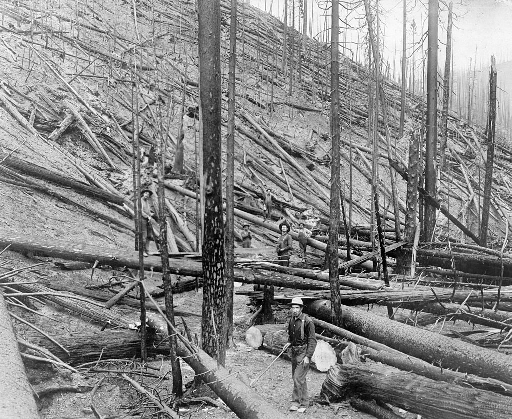 caption: Little North Fork of the St. Joe River, Idaho.