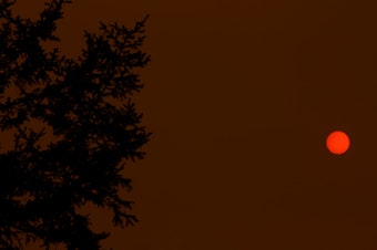 caption: Smoky skies from wildfires in Vancouver makes for an orange sun as it sets.