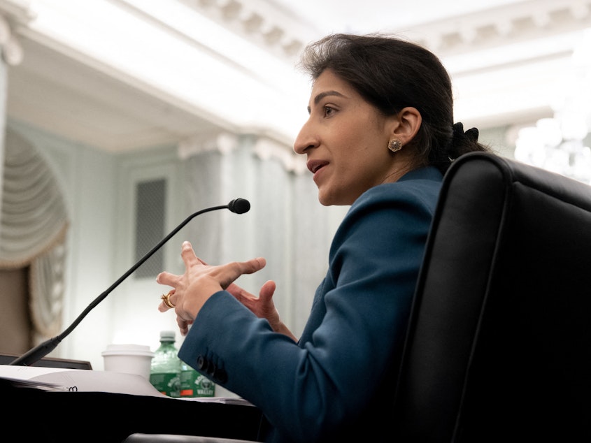 caption: Federal Trade Commission chair Lina Khan is one of the most prominent progressive voices calling for more aggressive curbs on the dominance of big companies.