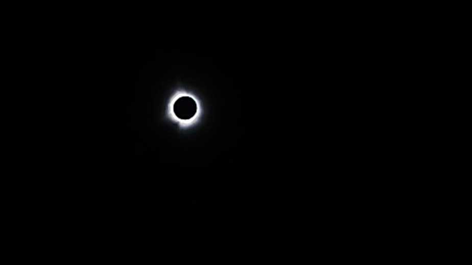 caption: KUOW's Kelsey Tolchin-Kupferer shared this photo from her brother, who witnessed the total solar eclipse on April 8, 2024, from Illinois. 