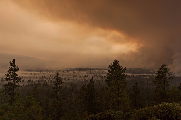 caption: <p>The Milli Fire burning west of Sisters, Oregon.</p>