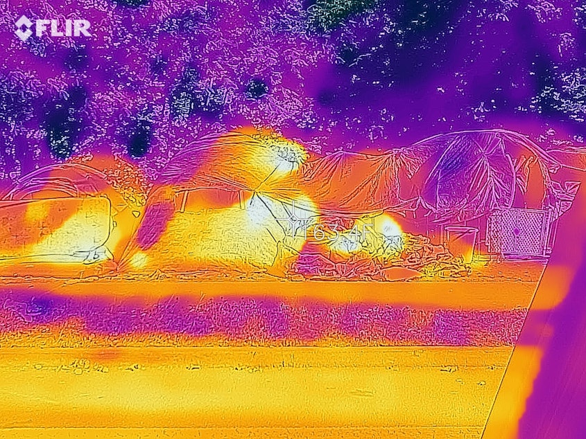 caption: An infrared image of a homeless camp on Portland's Lloyd Avenue on June 28 shows surface temperatures ranging from 110F (purple) to 163F (white). 