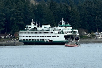 caption: Bainbridge Island resident John Ellis watched the Bremerton-Seattle ferry run aground at the south end of the island Saturday, April 15, 2023. 
