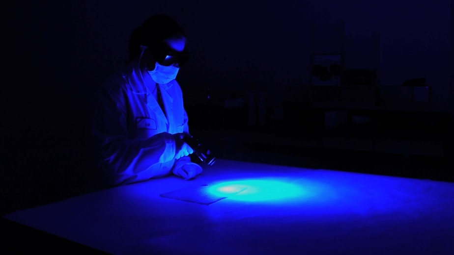 caption: In a stock photo from the Washington State Patrol, a forensic scientist examines rape evidence at the state crime lab. 