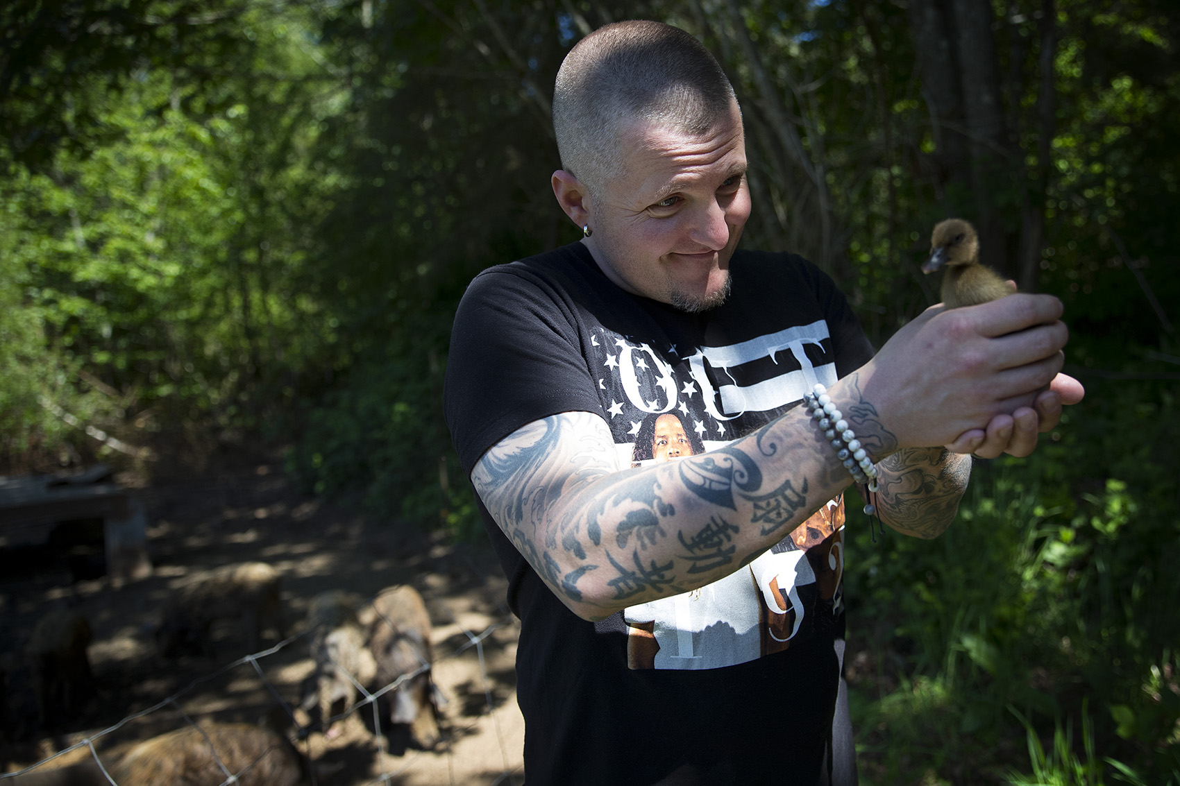 caption: Brendan McGill, owner and chef at Hitchcock, holds a duckling on Wednesday, May 8, 2019, at Shady Acres Farm on Bainbridge Island. 