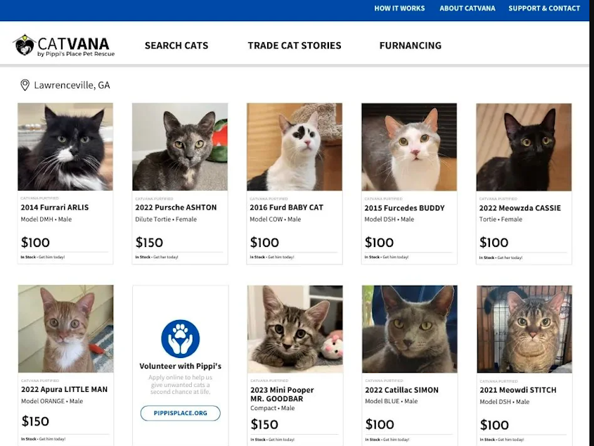 caption: Screenshot of the social post for "CatVana" created by Kayla Delcoure for Pippi's Place.