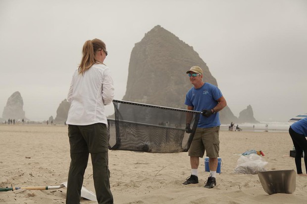 caption: <p>Valerie Schockelt (left) and Kerry Lyons use a microplastics filtration device to filter sand on Cannon Beach with iconic Haystack Rock in the background.</p>