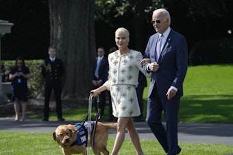 caption: President Joe Biden walks with actress Selma Blair and Blair's service dog Scout as they arrive for an event to celebrate the Americans with Disabilities Act on the South Lawn of the White House on Monday.