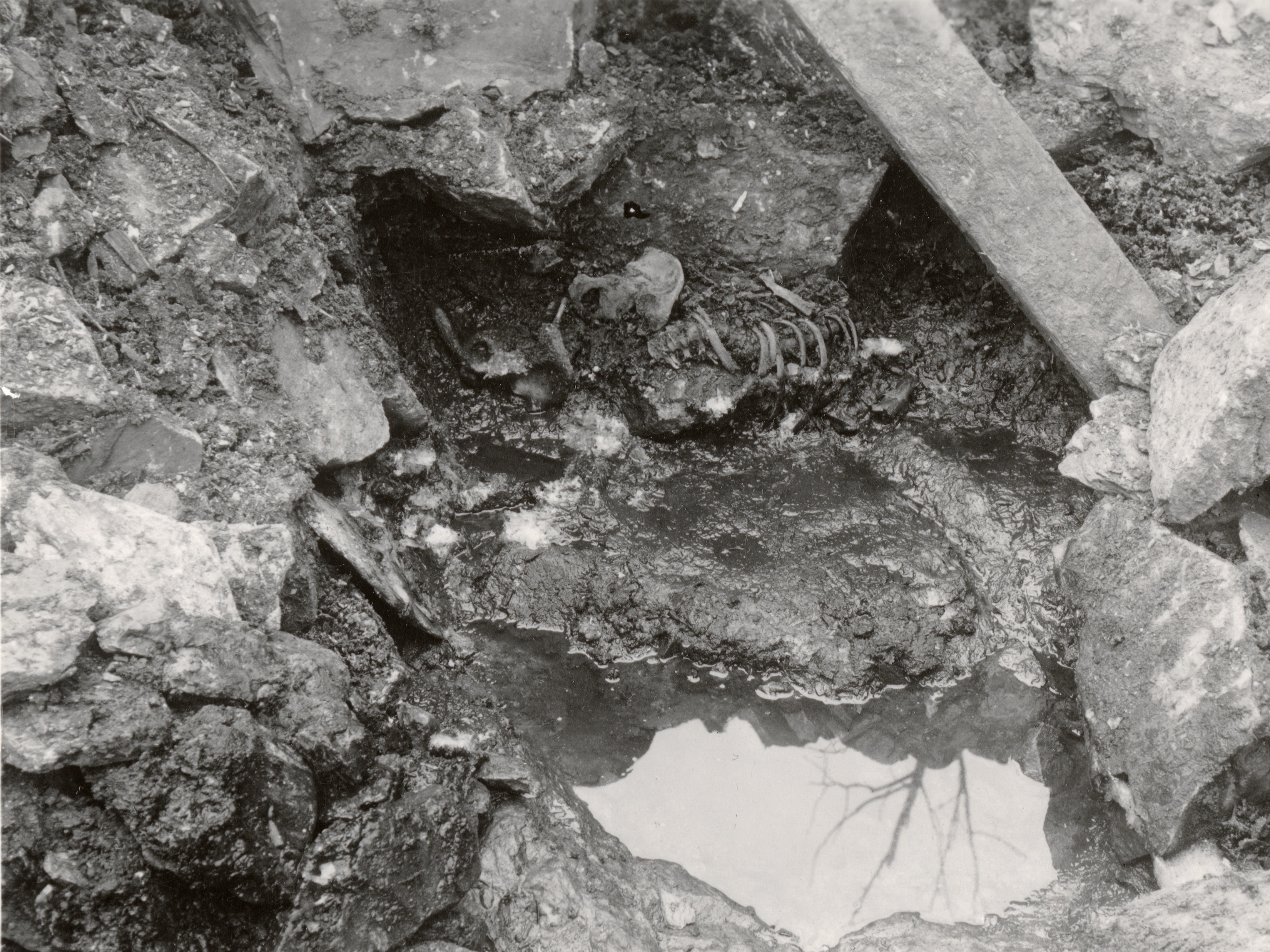 caption: In 1938, a partial excavation of a well revealed a man’s skeleton — possibly that of a dead man thrown down the well in the 12th century.