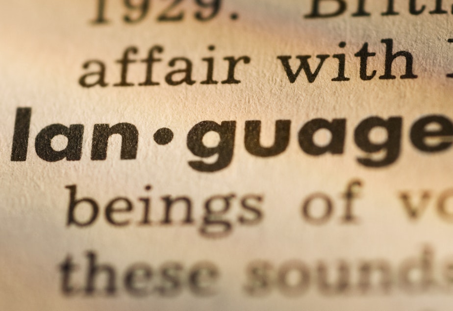 caption: Dictionary.com has updated thousands of entries to reflect the changing use of language in 2020, particularly in subjects like race, gender, health, technology and politics.