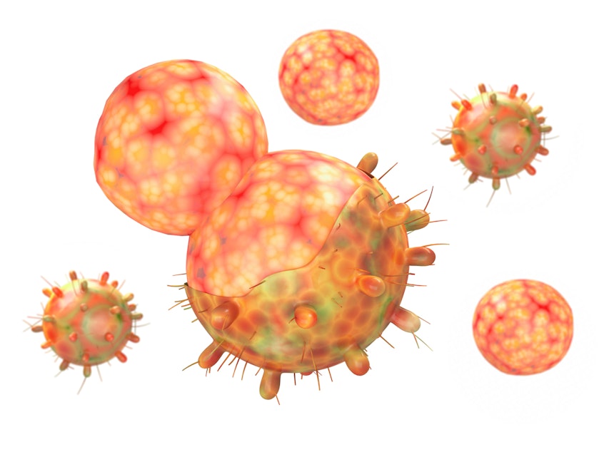 caption: A 3D-generated image of the coronavirus variant of concern known as omicron. The little bumps are spike proteins (see definition below).