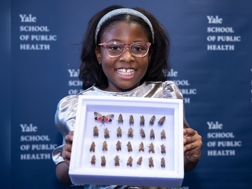 caption: Bobbi Wilson holds her collection of spotted lanternflies as she is honored at the Yale School of Public Health on Jan. 20.