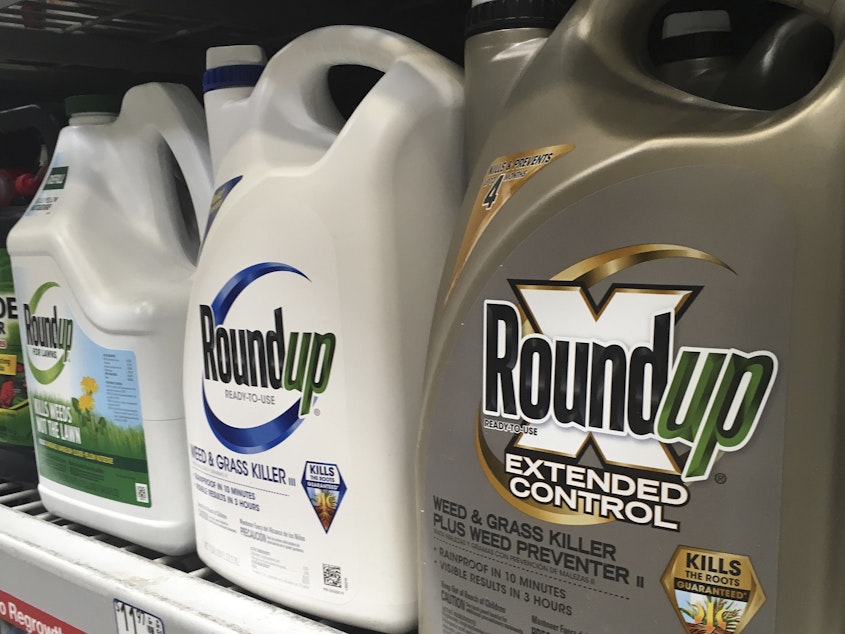 caption: Containers of Roundup are displayed on a store shelf in San Francisco. The verdict is the third recent court decision in California involving the glyphosate-based Roundup weed killer.