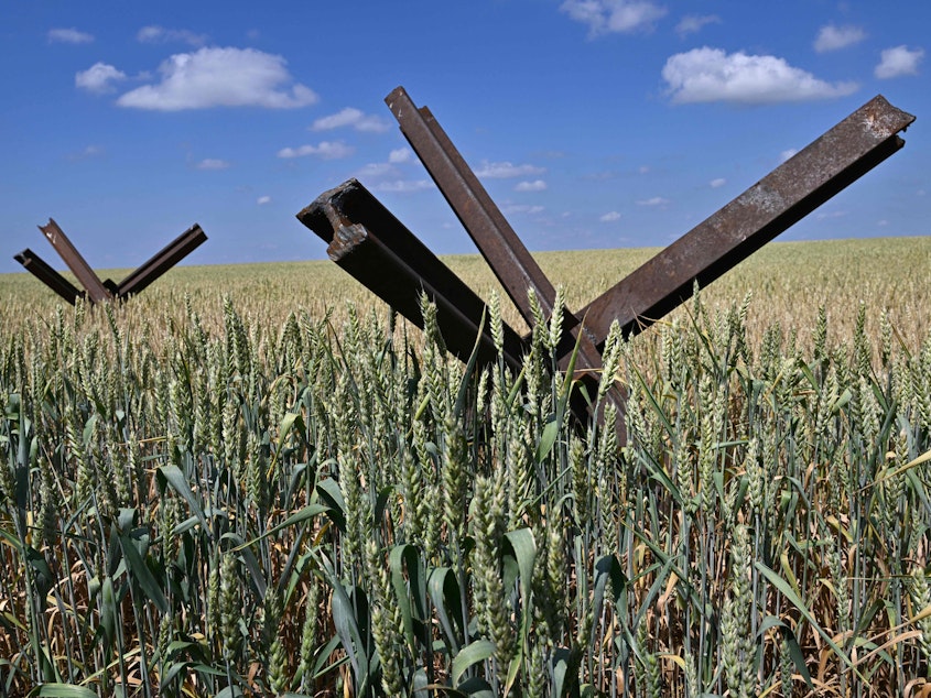 caption: Anti-tank obstacles on a wheat field at a farm in southern Ukraine's Mykolaiv region. The country's grain exports were curtailed this week when Russia pulled out of a deal that allowed grain-laden ships to sail out of Ukrainian ports.