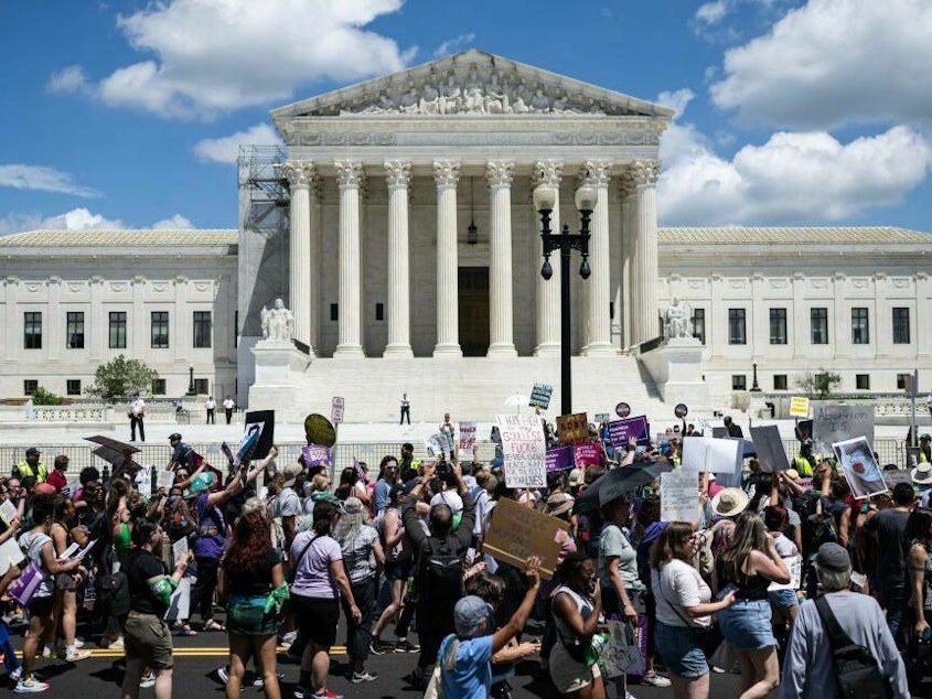 caption: Demonstrators rally to mark the first anniversary of the US Supreme Court ruling in the <em>Dobbs v Women's Health Organization</em> case in Washington, DC on June 24, 2023.