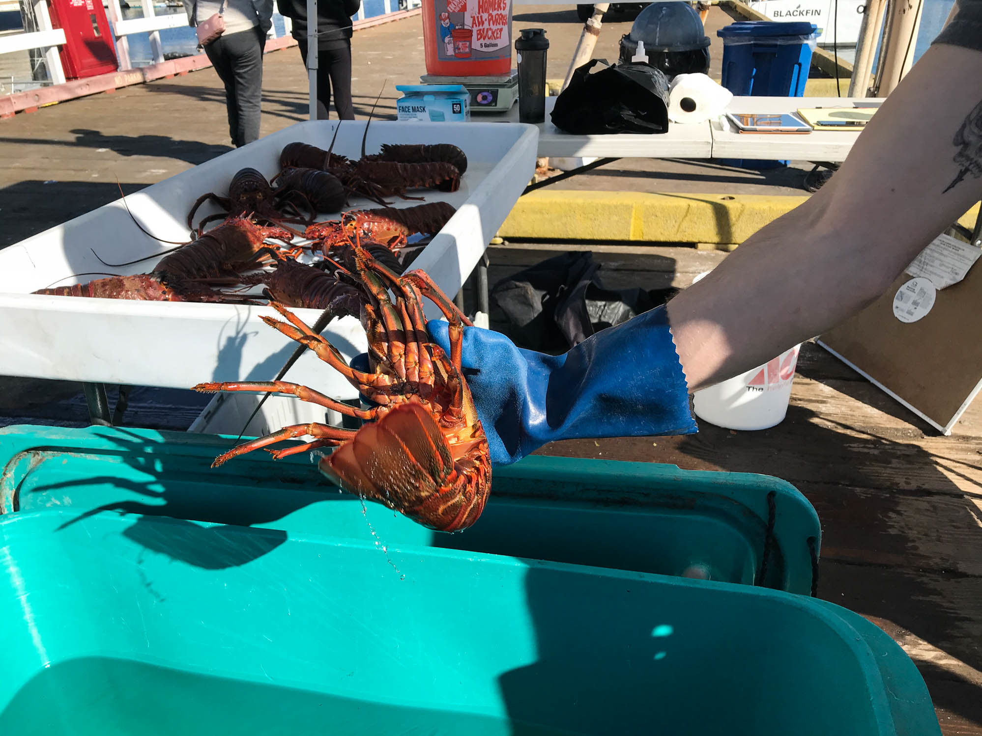 caption: Fishermen sell freshly caught seafood at the Saturday Fishermen's Market in Santa Barbara, Calif. When the pandemic began, fishermen watched their markets dry up overnight. Now, as well as public markets like this, some are selling to food assistance programs.
