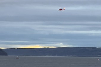caption: A Coast Guard helicopter searches the area where a floatplane crashed near Whidbey Island, Wash., Sunday, Sept. 4, 2022.