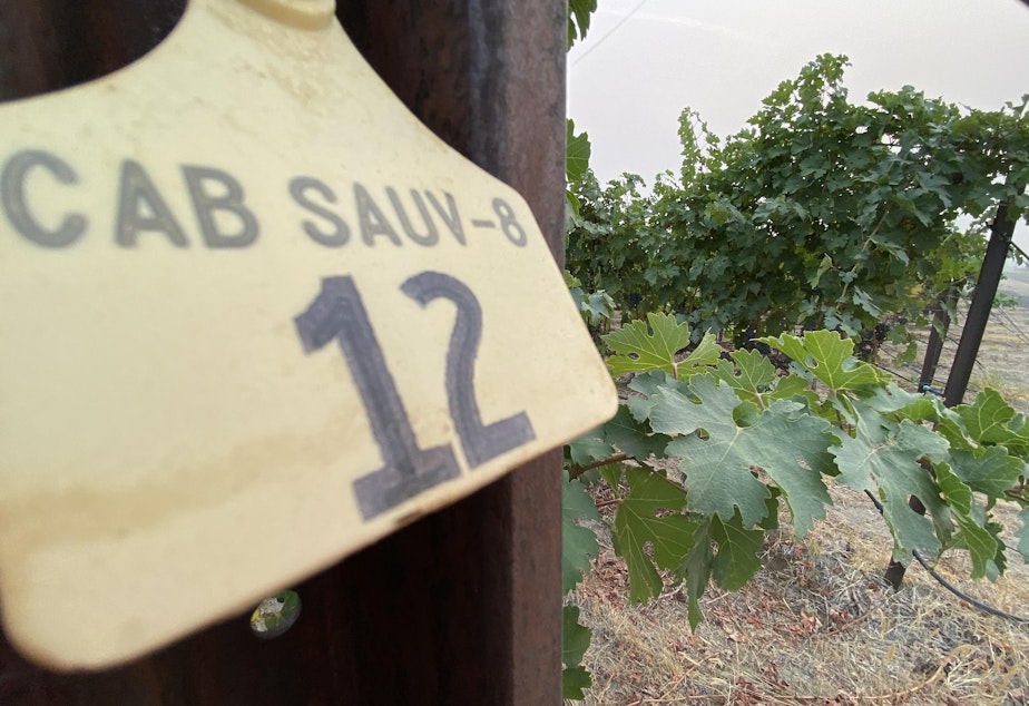 caption: Recent wildfires and associated smoke that innundated the Northwest in September means grape growers and winemakers are scrambling to test for smoke taint.