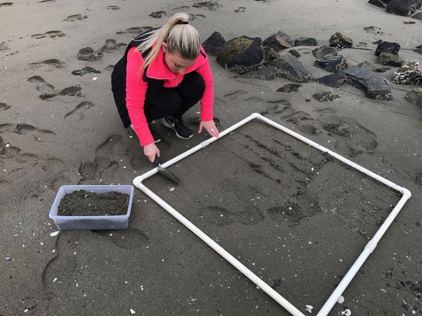 caption: Recent University of Washington oceanography graduate, Frances Eshom-Arzadon, collecting samples for microplastics study.