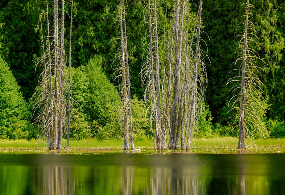 caption: Howard Lake, north of Stehekin in Washington's North Cascades.