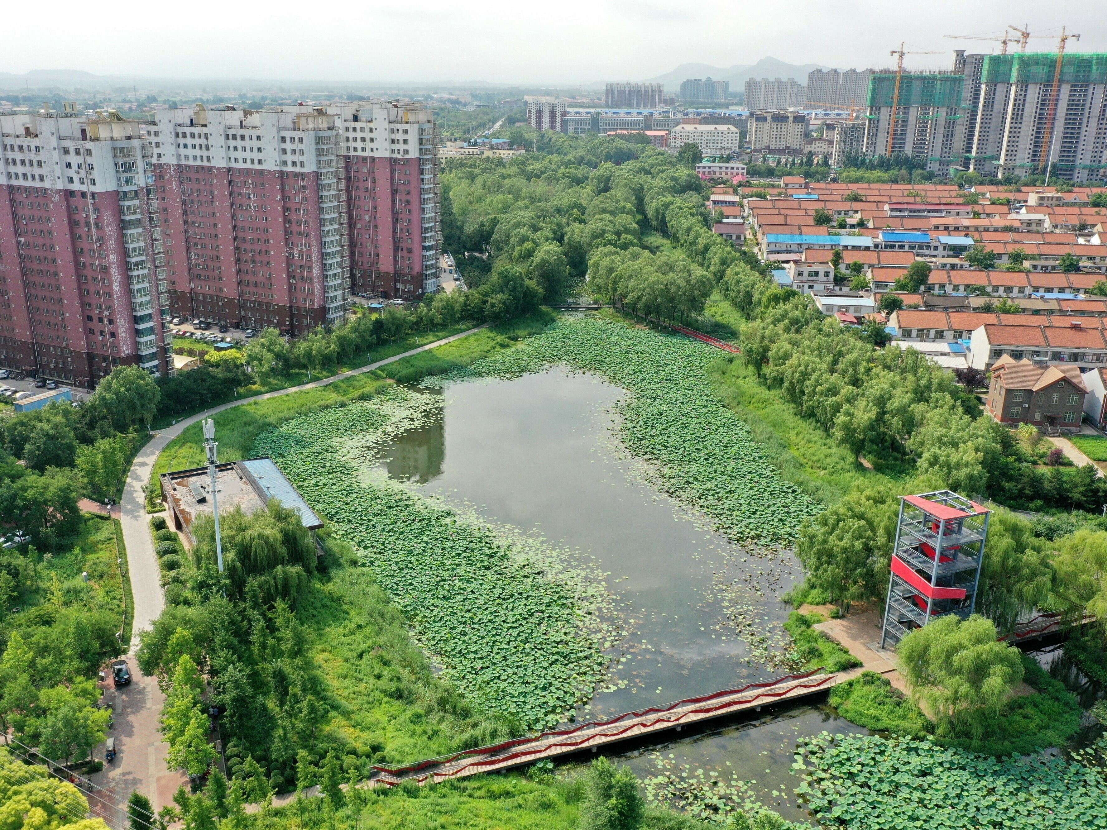 caption: This natural pond helps reserve precipitation in the ecological corridor of Qian'an, a city in China's Hebei province. Like many other Chinese cities, Qian'an used to fall victim to urban flooding during rainy seasons. But things have changed since 2015, when the city was included in a national pilot program for "sponge city" construction.