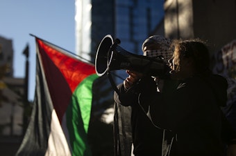 caption: A young girl speaks to a crowd of thousands gathered to show their support for Palestine for the third weekend in a row on Saturday, October 28, 2023, at Westlake Park in Seattle. 