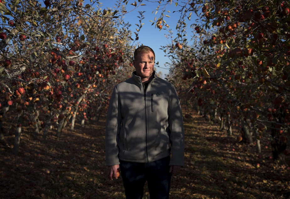 caption: President of Gilbert Orchards, Sean Gilbert, poses for a portrait on Tuesday November, 20, 2018, in Yakima. 