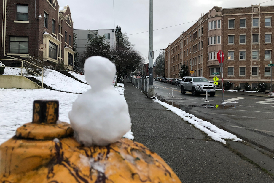 caption: Snow melts in Seattle's University District, January 2020. 