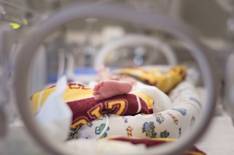 caption: A large study published in late October found that weekly injections of Makena during the latter months of pregnancy "did not decrease recurrent preterm births."