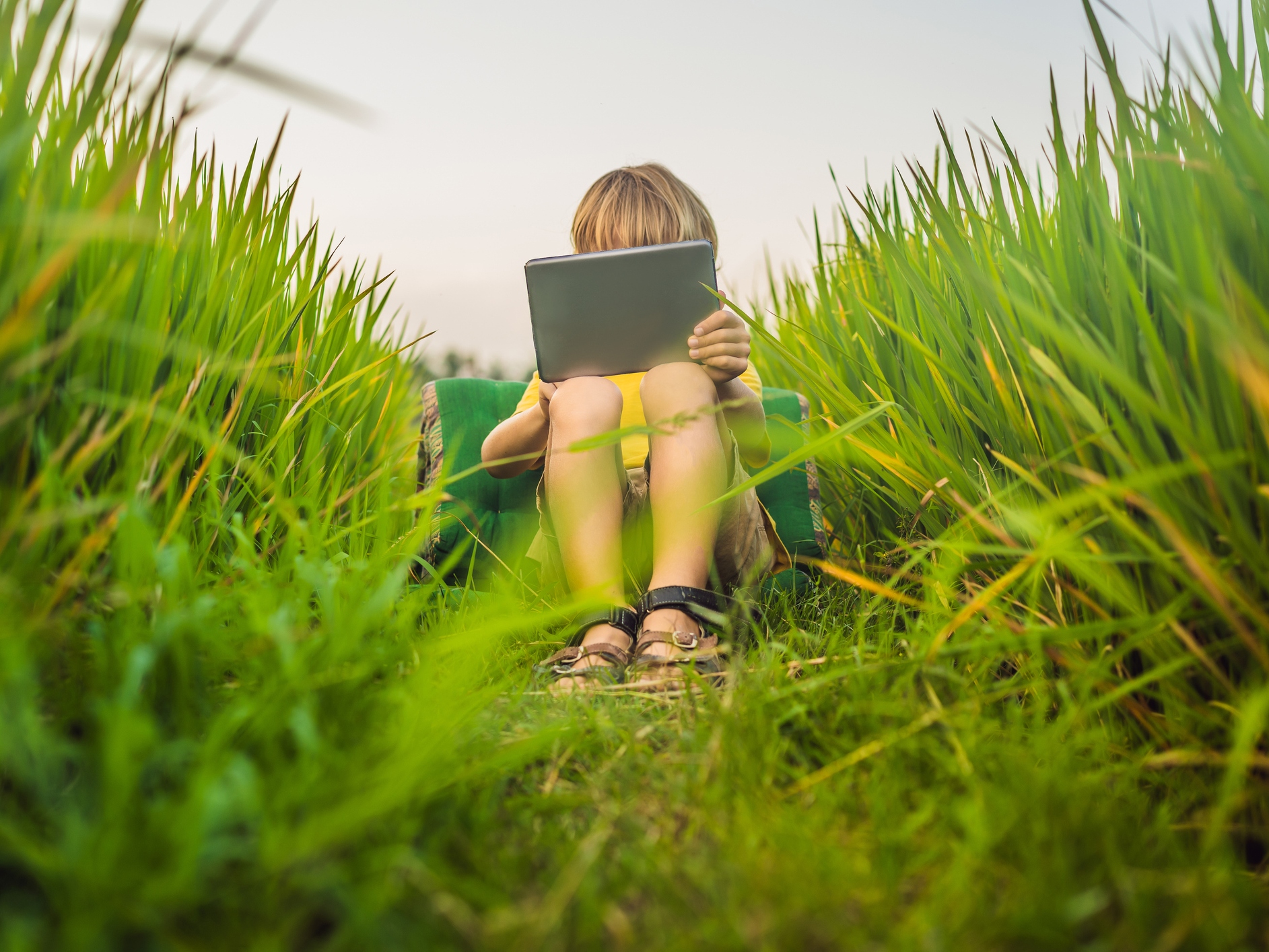 Happy child sitting on the field holding tablet. Boy sitting on the grass on sunny day. Home schooling or playing a tablet
