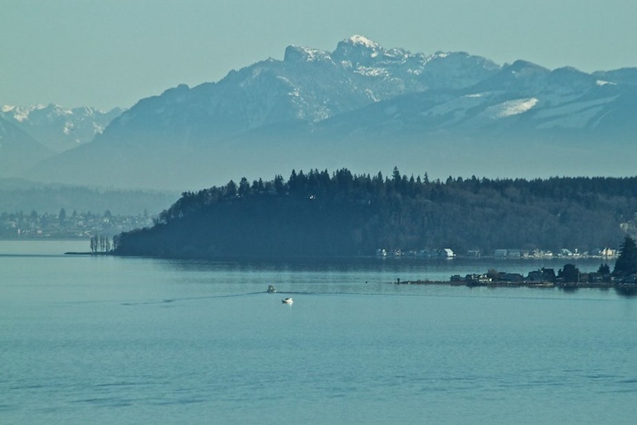 caption: The town of Langley and the cascades as viewed from the water
