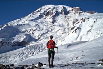caption: A cell phone tower at Paradise could bring coverage to much-visited parts of Mount Rainier National Park.