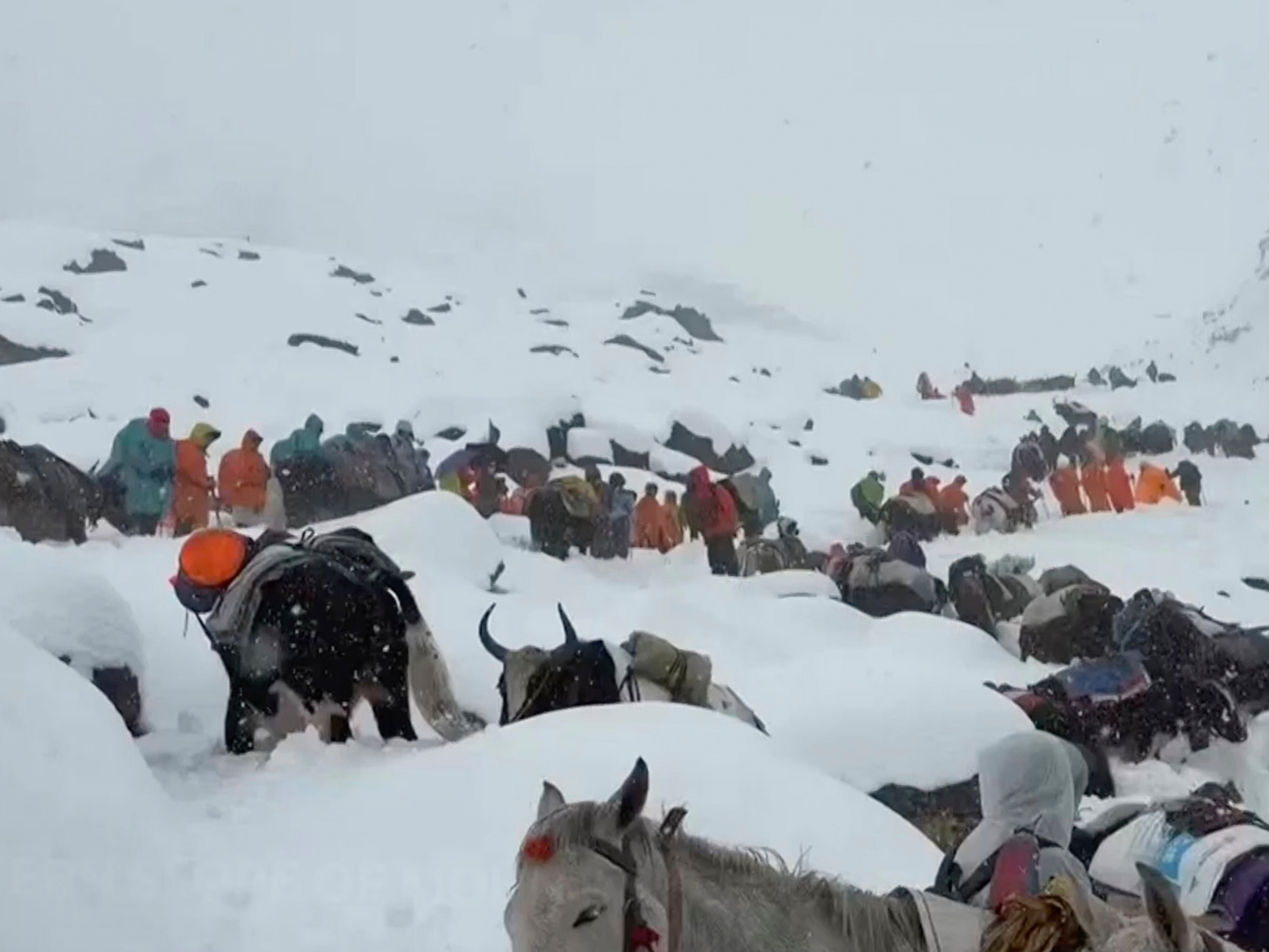caption: In this photo taken Oct. 4, 2025 and released by Lingsuiye, villagers with their oxen and horses ascend the mountain during rescue efforts to reach hundreds of hikers trapped by heavy snow at tourist campsites on a slope of Mount Everest in Tibet on Sunday, Oct. 5, 2025.