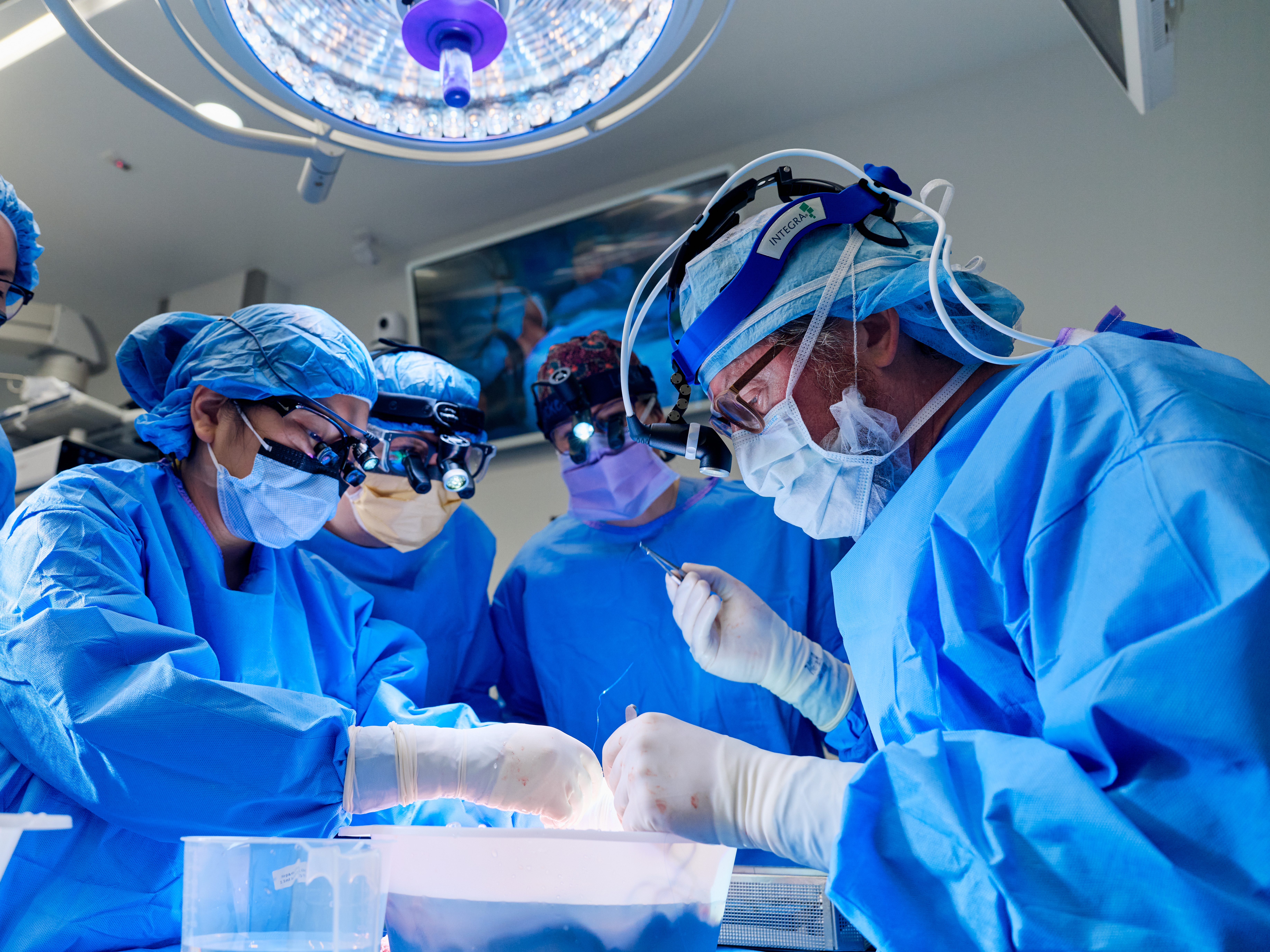 caption: A surgical team at NYU Langone Health hospital, including Dr. Robert Montgomery (right), transplants a kidney from a genetically modified pig into patient Towana Looney, who's been on dialysis since 2016.