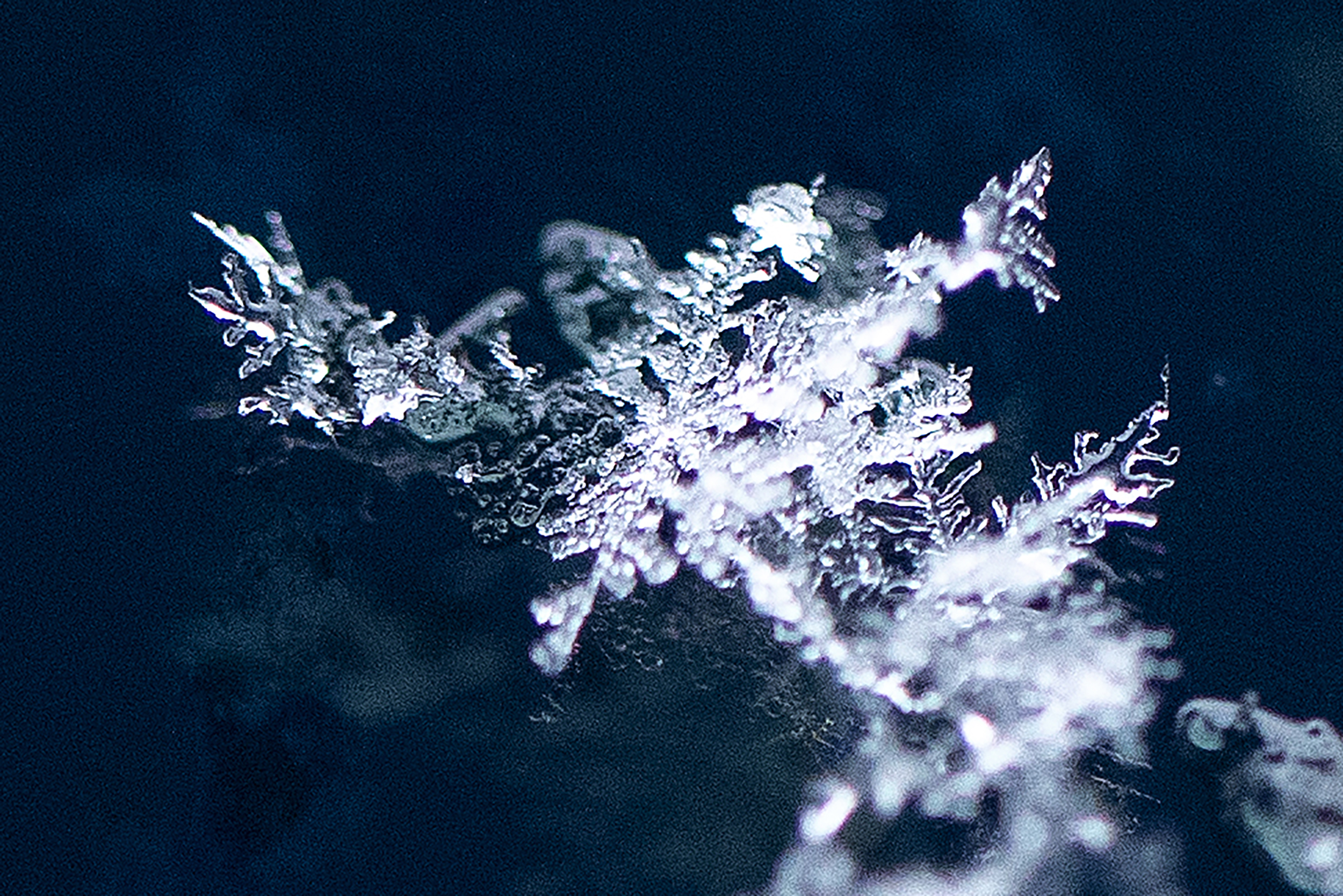 caption: Snowflakes fall on Friday, March 13, 2026, in Seattle’s Ballard neighborhood. 