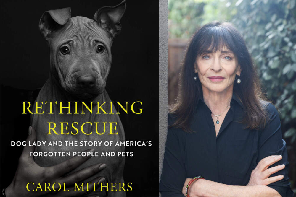 caption: The cove of "Rethinking Rescue" beside author Carol Mithers. (Courtesy)