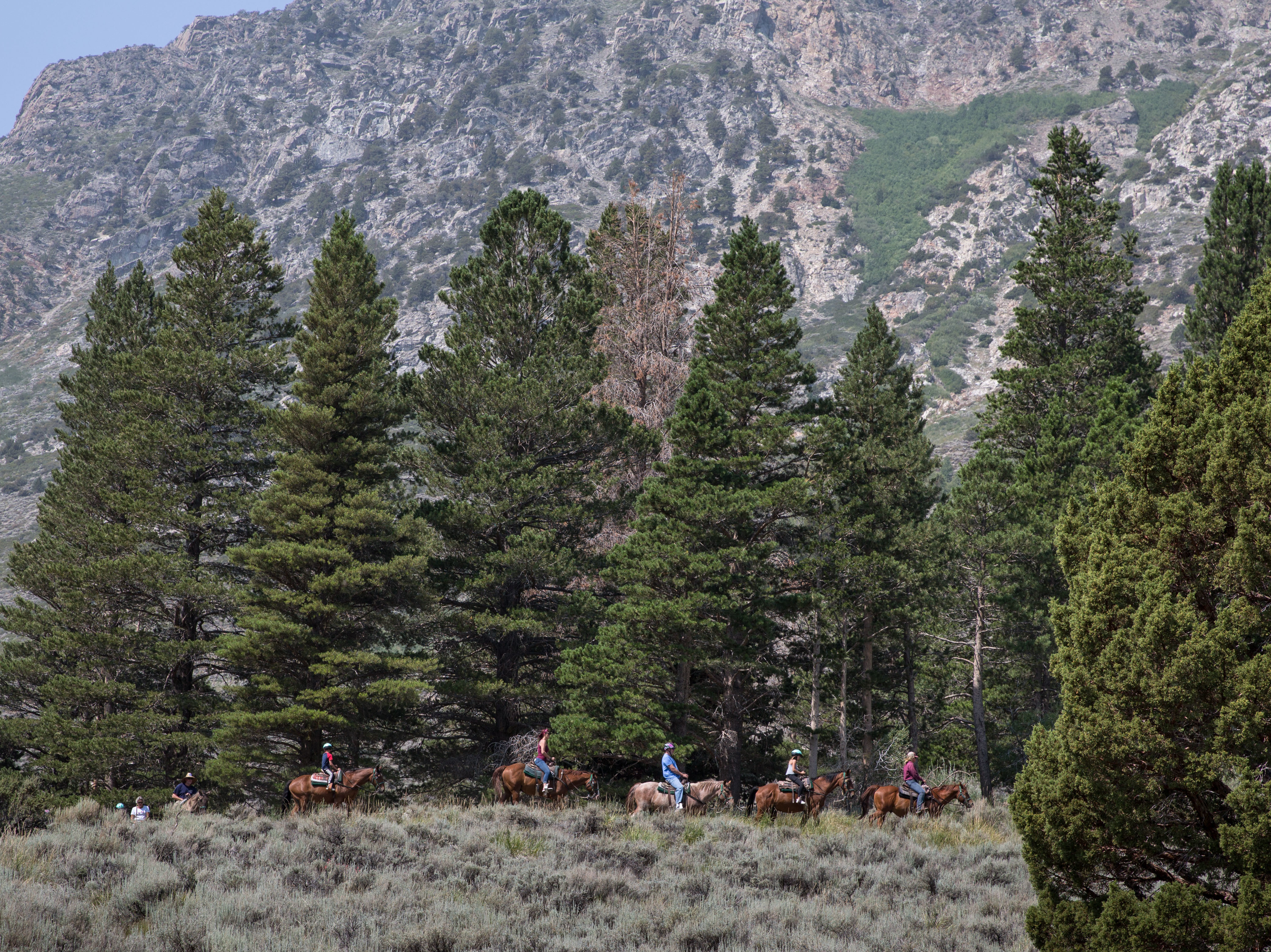 caption: Horseback riders take a trail ride on Aug. 13 near June Lake, Calif.