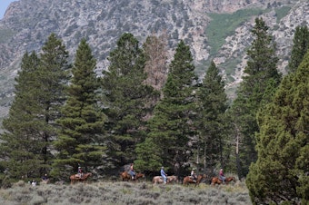 caption: Horseback riders take a trail ride on Aug. 13 near June Lake, Calif.
