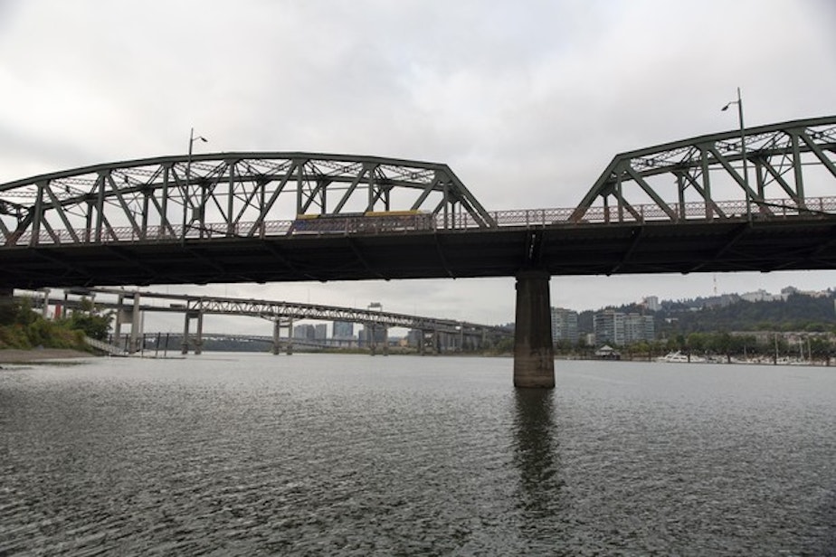 caption: <p>Oregon Health Authority recently issued a health warning&nbsp;after algae toxins were found in the Willamette river between Ross Island and Cathedral Park. Although the warning has been lifted in the downtown region, blue-green algae is still present in Ross Island Lagoon.&nbsp;</p>