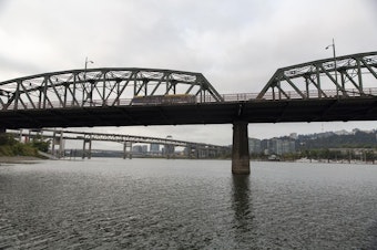 caption: <p>Oregon Health Authority recently issued a health warning&nbsp;after algae toxins were found in the Willamette river between Ross Island and Cathedral Park. Although the warning has been lifted in the downtown region, blue-green algae is still present in Ross Island Lagoon.&nbsp;</p>