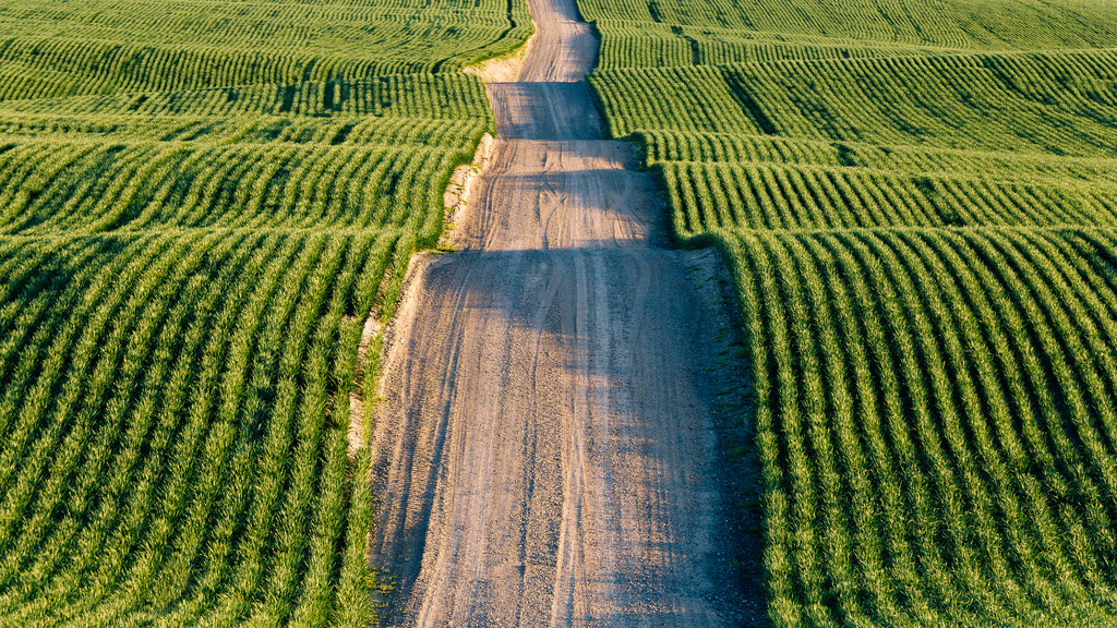 caption: Farmland near Ritzville, Washington.