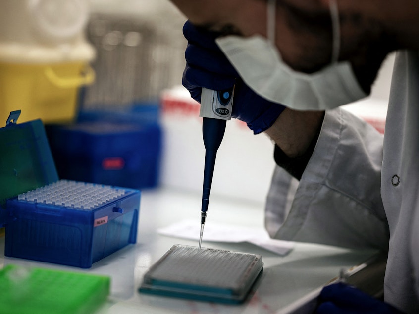 caption: A scientist works on COVID-19 samples to find variations of the virus at the Croix-Rousse Hospital laboratory in Lyon, France, in January.