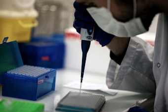 caption: A scientist works on COVID-19 samples to find variations of the virus at the Croix-Rousse Hospital laboratory in Lyon, France, in January.